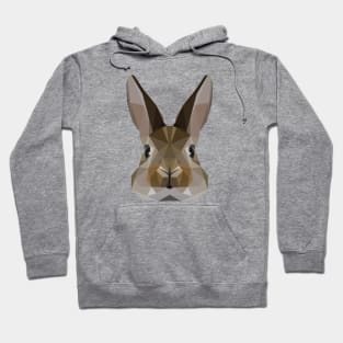 rabbit lowpoly art Hoodie